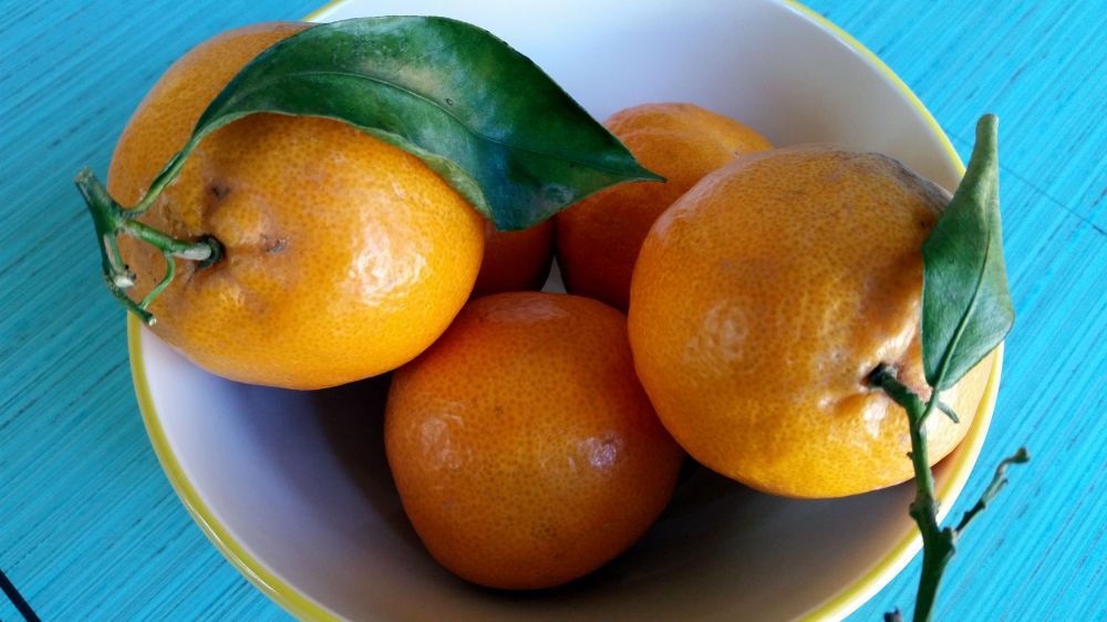 RoyalStreetInBloomSatsumas