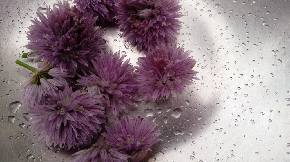 ChiveBlossomGibsonDetail