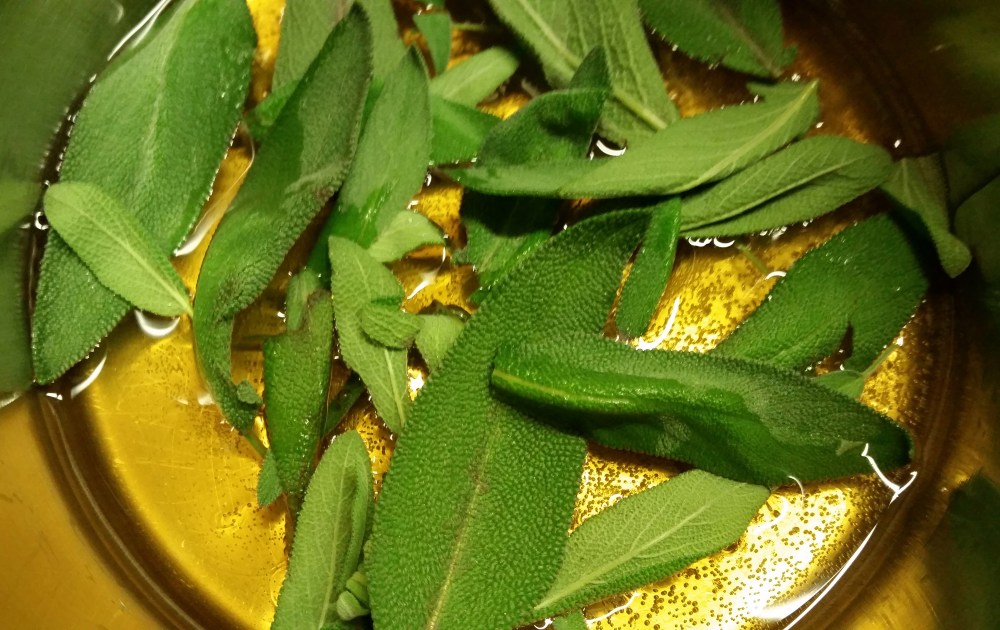 socalwintersagehoney