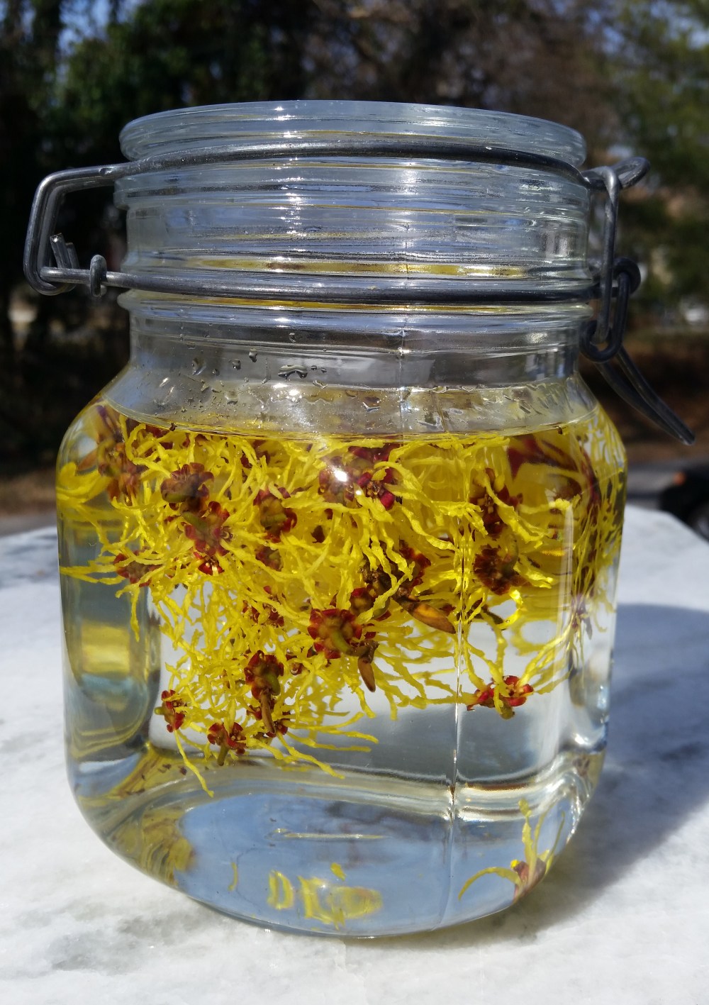 cocktailfail-witchhazeldetail