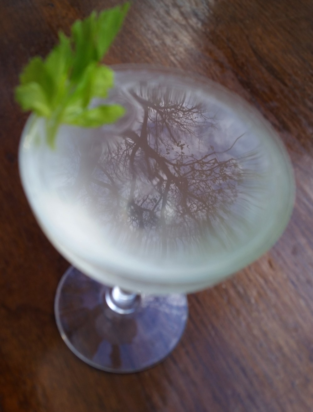 AprilShowersDetailLeaves