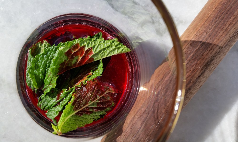 blackberryMojoDetail1