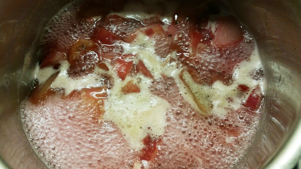 RhubarbJulepDetailPuree