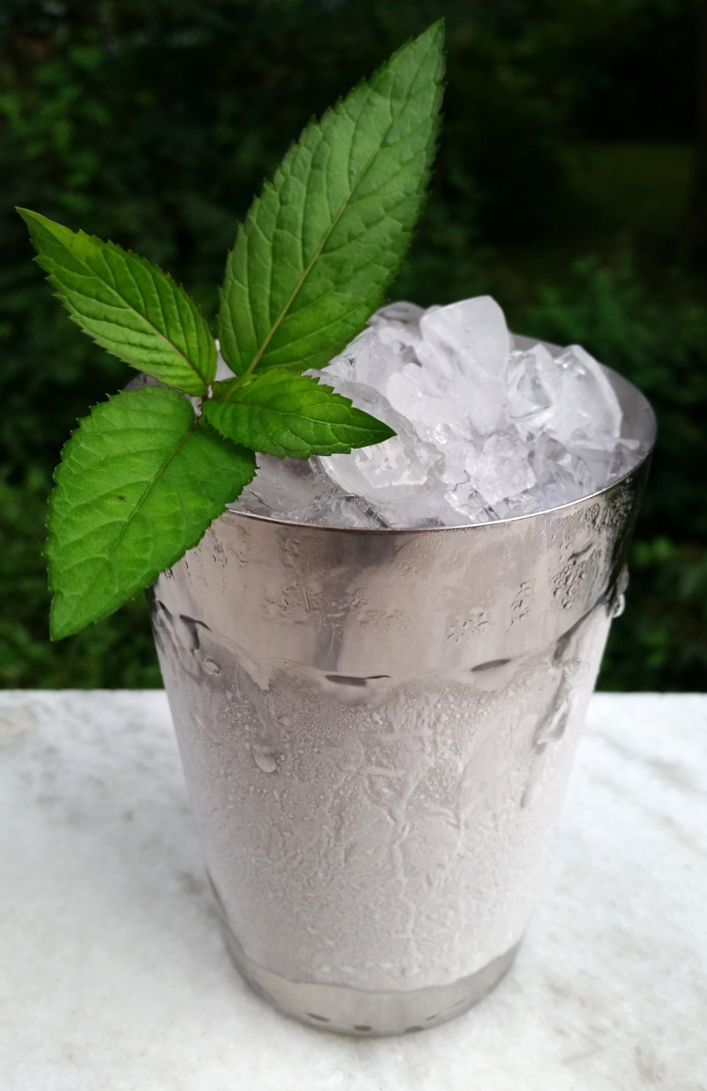 RhubarbJulepMain